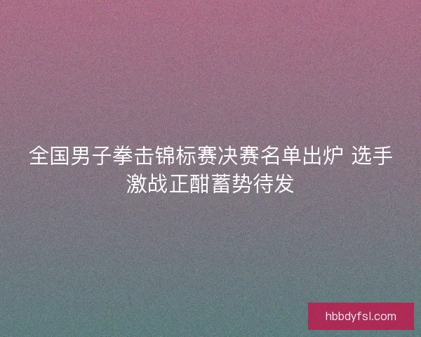 全国男子拳击锦标赛决赛名单出炉 选手激战正酣蓄势待发